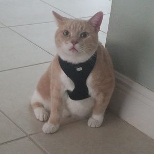 Meet your Posher, Rita